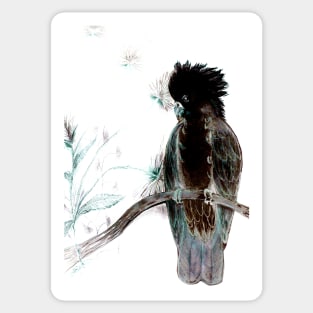 TROPICAL BLACK COCKATOO PARROT PALM WHITE ABSTRACT POSTER PRINT Sticker